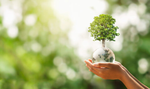 terre nature pour l'environnement