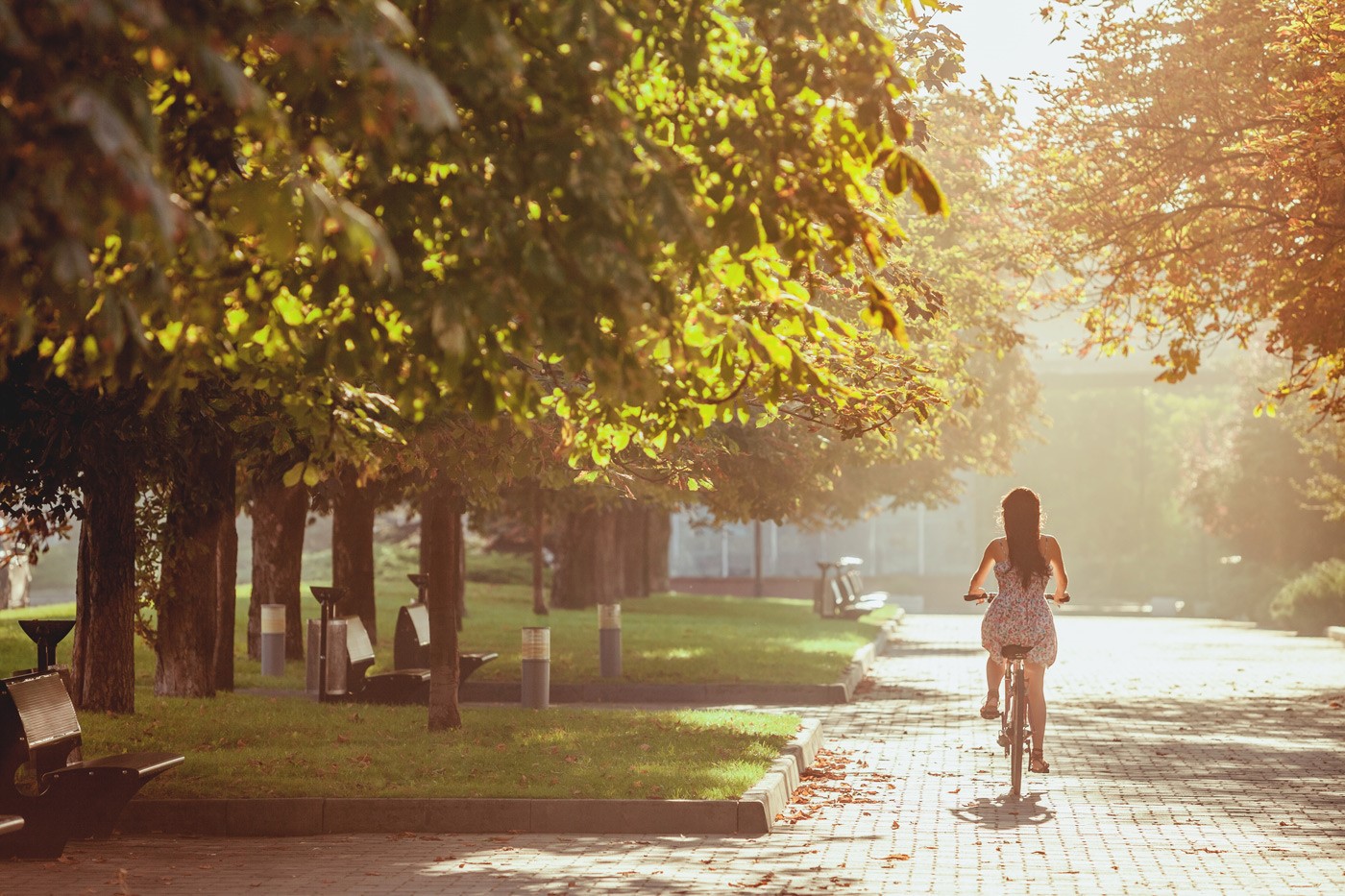 petite fille fait du vélo dans une rue avec des arbres